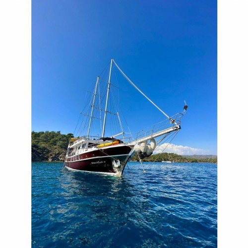 Lüks Kiralık Gulet  L940 30 Kişilik SWORDFISH 3