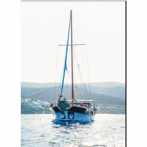 SGL-330-SATILIK GULET OALIS